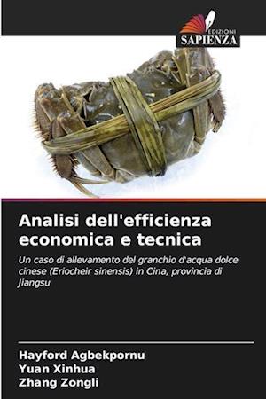 Analisi dell'efficienza economica e tecnica