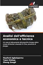 Analisi dell'efficienza economica e tecnica