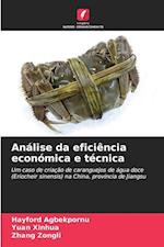 Análise da eficiência económica e técnica