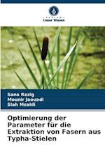 Optimierung der Parameter für die Extraktion von Fasern aus Typha-Stielen