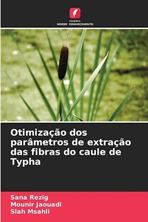 Otimização dos parâmetros de extração das fibras do caule de Typha