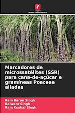 Marcadores de microssatélites (SSR) para cana-de-açúcar e gramíneas Poaceae aliadas