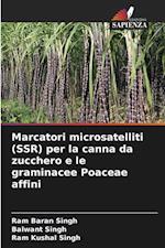 Marcatori microsatelliti (SSR) per la canna da zucchero e le graminacee Poaceae affini