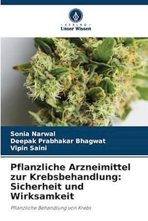 Pflanzliche Arzneimittel zur Krebsbehandlung: Sicherheit und Wirksamkeit