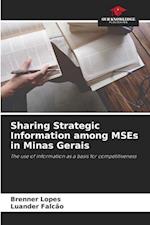 Sharing Strategic Information among MSEs in Minas Gerais