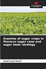 Enemies of sugar crops in Morocco sugar cane and sugar beet: strategy 