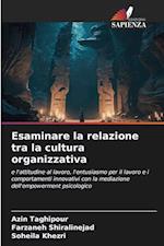 Esaminare la relazione tra la cultura organizzativa