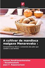 A cultivar de mandioca malgaxe Menarevaka