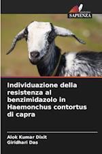 Individuazione della resistenza al benzimidazolo in Haemonchus contortus di capra