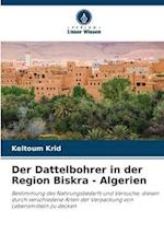 Der Dattelbohrer in der Region Biskra - Algerien