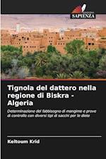 Tignola del dattero nella regione di Biskra - Algeria