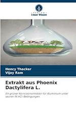 Extrakt aus Phoenix Dactylifera L.