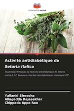 Activité antidiabétique de Setaria italica