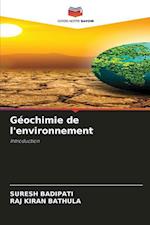 Géochimie de l'environnement