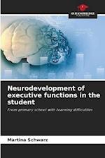 Neurodevelopment of executive functions in the student 