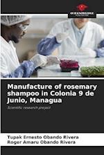 Manufacture of rosemary shampoo in Colonia 9 de Junio, Managua 