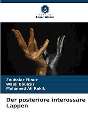 Der posteriore interossäre Lappen