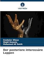 Der posteriore interossäre Lappen