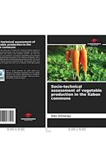 Socio-technical assessment of vegetable production in the Kabon commune 