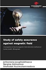 Study of safety assurance against magnetic field 