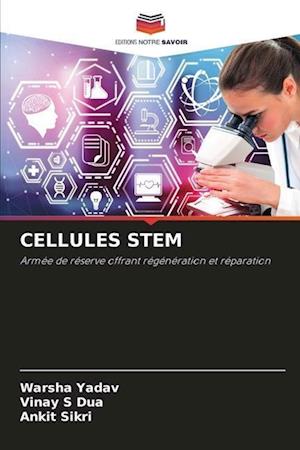 Cellules Stem