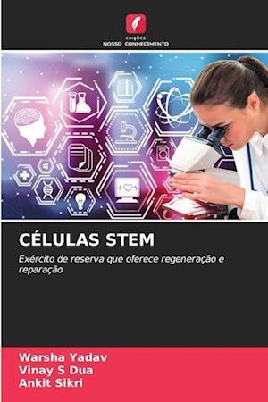 Células Stem