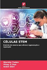 Células Stem