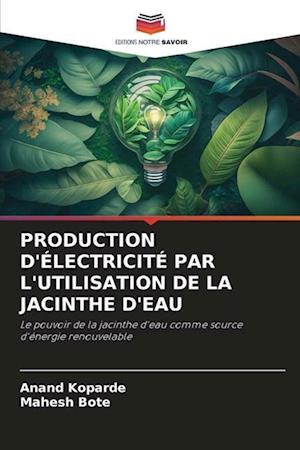 Production d'Électricité Par l'Utilisation de la Jacinthe d'Eau