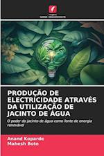 Produção de Electricidade Através Da Utilização de Jacinto de Água