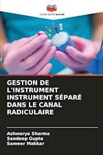 GESTION DE L'INSTRUMENT INSTRUMENT SÉPARÉ DANS LE CANAL RADICULAIRE