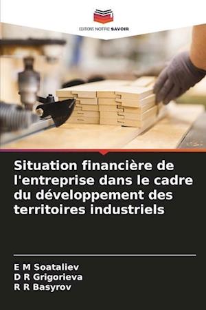 Situation financière de l'entreprise dans le cadre du développement des territoires industriels