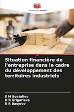 Situation financière de l'entreprise dans le cadre du développement des territoires industriels