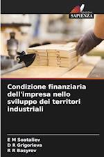 Condizione finanziaria dell'impresa nello sviluppo dei territori industriali