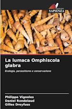 La lumaca Omphiscola glabra