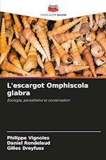 L'escargot Omphiscola glabra