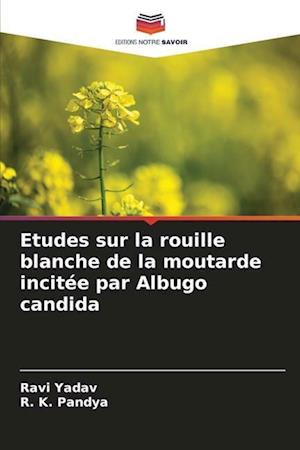 Etudes sur la rouille blanche de la moutarde incitée par Albugo candida