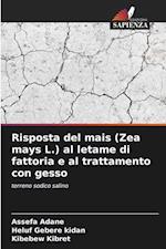 Risposta del mais (Zea mays L.) al letame di fattoria e al trattamento con gesso