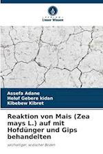 Reaktion von Mais (Zea mays L.) auf mit Hofdünger und Gips behandelten