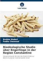 Bioökologische Studie über Engerlinge in der Region Constantine