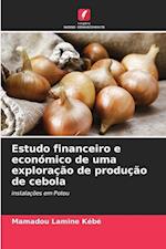 Estudo financeiro e económico de uma exploração de produção de cebola