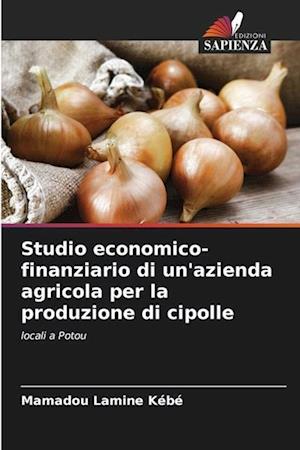 Studio economico-finanziario di un'azienda agricola per la produzione di cipolle