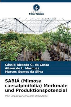 SABIÁ (Mimosa caesalpinifolia) Merkmale und Produktionspotenzial