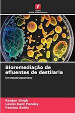 Bioremediação de efluentes de destilaria