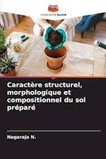 Caractère structurel, morphologique et compositionnel du sol préparé