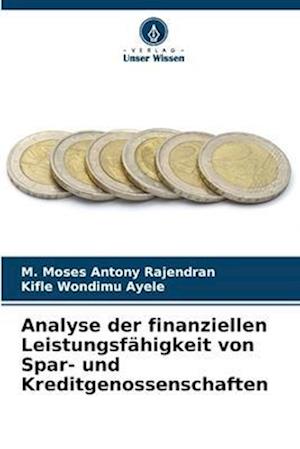 Analyse der finanziellen Leistungsfähigkeit von Spar- und Kreditgenossenschaften