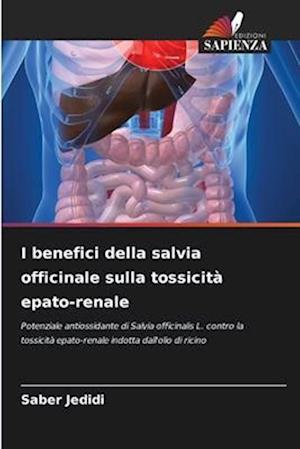 I benefici della salvia officinale sulla tossicità epato-renale