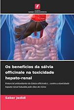 Os benefícios da sálvia officinale na toxicidade hepato-renal