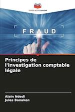 Principes de l'investigation comptable légale