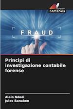 Principi di investigazione contabile forense