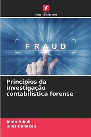 Princípios da investigação contabilística forense